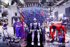 <b>仔机械人不负众望</b>